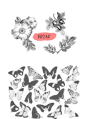 蝴蝶与花朵黑白绘画
