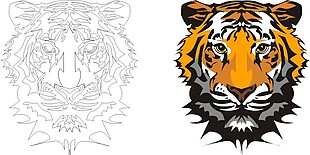 老虎抠图插画