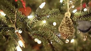 实拍圣诞节挂满灯光的圣诞树视频素材