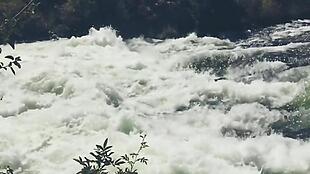 实拍波涛汹涌的河流顺流而下视频素材