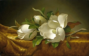 手绘彩绘白色小花绿色树叶装饰画