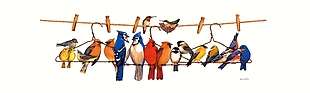 手绘彩绘各种小鸟站立在电线杆上装饰画