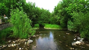 大自然河流森林视频