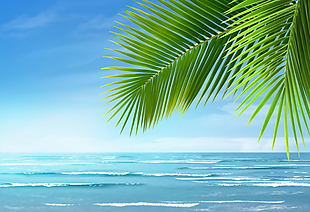 海边椰树唯美动态背景视频素材