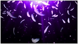 紫色羽毛星光视频素材