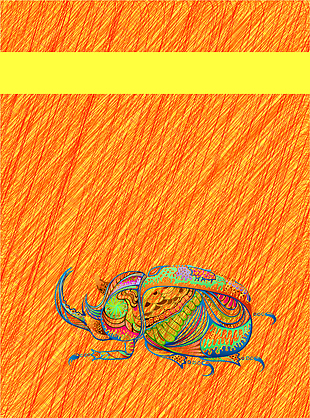 水彩昆虫创意动物画册封面背景