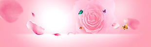 浪漫粉色玫瑰背景