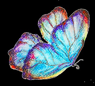 蝴蝶精致透明装饰素材