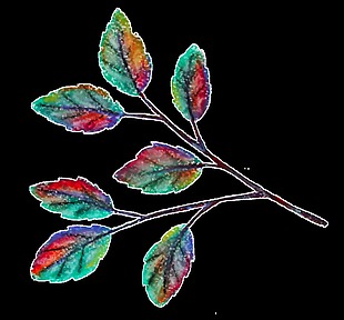 七彩树叶透明装饰素材