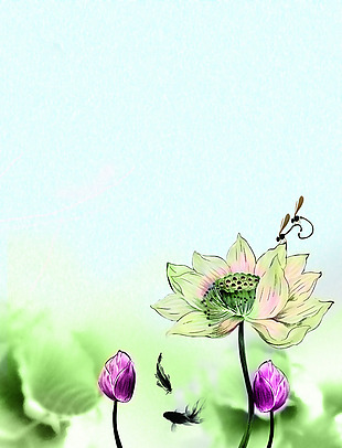 古典手绘荷花蜻蜓背景