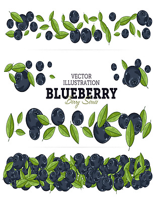 蓝莓水果矢量素材