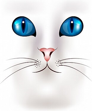 猫蓝眼睛矢量素材