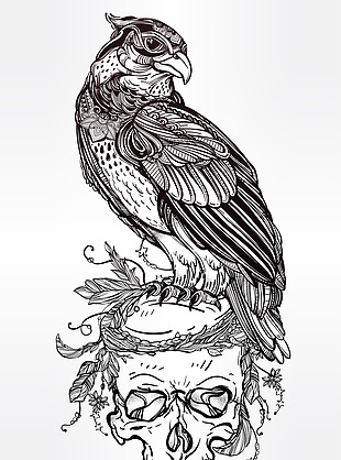 手绘老鹰和骷髅图案