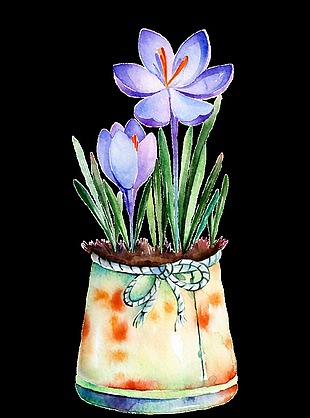 紫色花朵盆栽手绘水彩透明素材