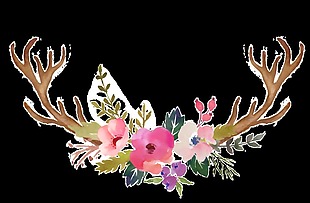 花朵手绘水彩透明装饰花朵素材