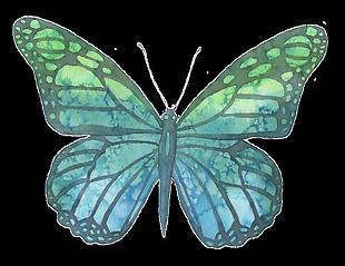 蓝绿色手绘水彩蝴蝶透明装饰图案