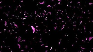 梦幻华丽紫色花瓣满屏飘散