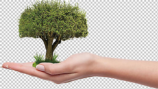 手捧大树保护自然免抠png透明图层素材
