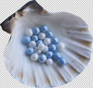 蓝色珍珠贝壳免抠png透明图层素材