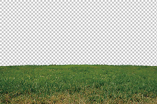 大片绿色草地免抠png透明图层素材