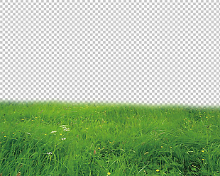 绿色成片草地免抠png透明图层素材