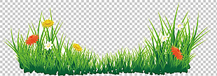 鲜花绿色草地免抠png透明图层素材