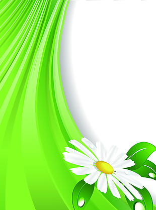 绿色飘带上的花朵背景