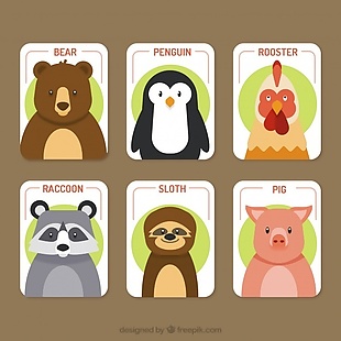 可爱的动物卡片收藏