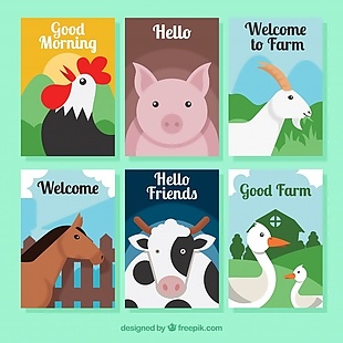 一套扁平的农场动物卡片