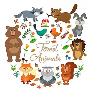 森林里的动物集合
