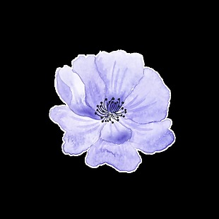 紫色手绘花朵万圣节透明装饰素材