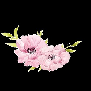 粉色手绘花朵万圣节透明装饰素材