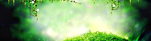 清新绿色植物banner背景素材
