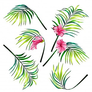 集热带棕榈植物的叶子在写实风格的矢量插图。