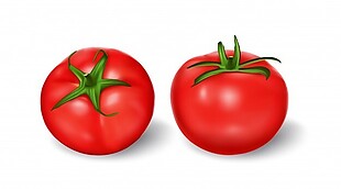 向量的写实风格，绿茎红番茄设置说明