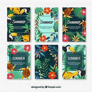 夏日鲜花卡片