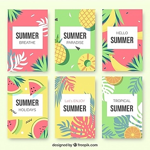 夏季水果卡片和棕榈叶