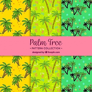 手绘棕榈树的多彩图案