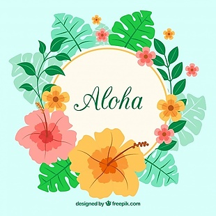 ALOHA背景用鲜花和热带树叶
