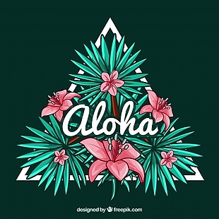 装饰三角形背景夏威夷花和“阿罗哈”字