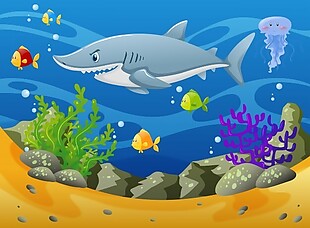 水下鲨鱼和其他海洋动物