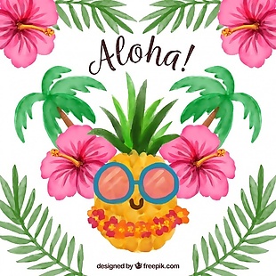 水的颜色夏威夷菠萝背景