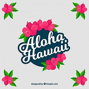 阿罗哈夏威夷背景