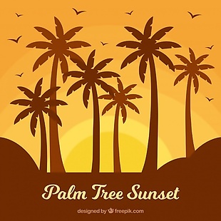 棕榈树的日落