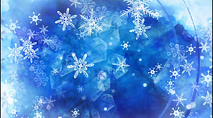 冬季好美的雪花视频素材