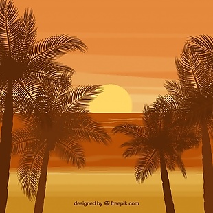 棕榈树在沙滩上的夕阳的背景