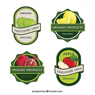 不同水果的绿色标签的集合