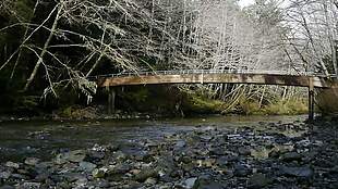 桥和Creek