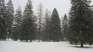 雪中的斯洛文尼亚