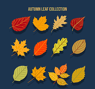 12款美丽秋季树叶矢量素材
